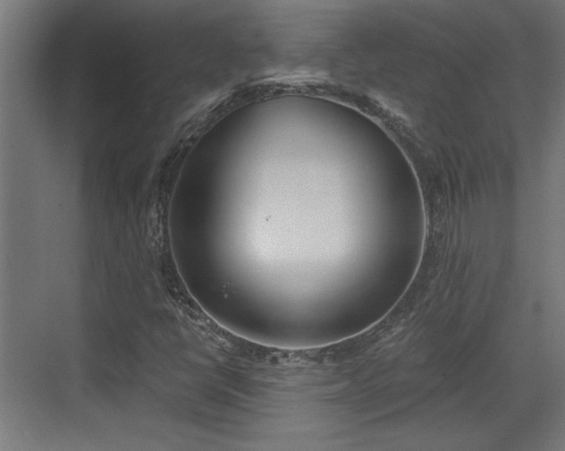 X0000072511398200607211345