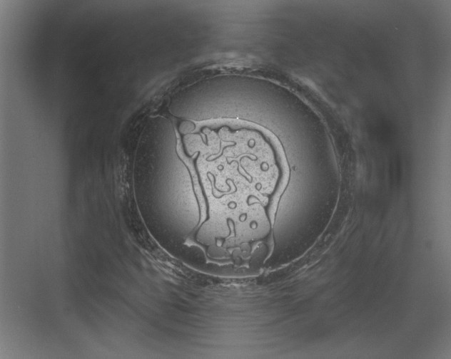 X0000072511399200607211345