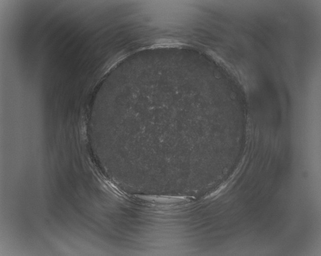 X0000072511401200607211345