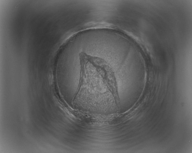 X0000072511407200607211345