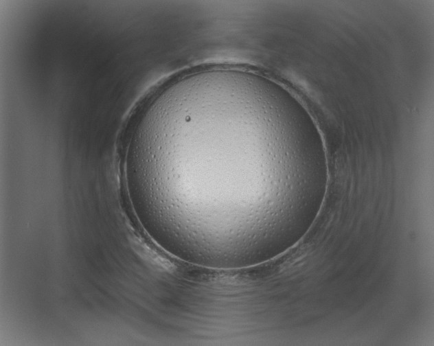 X0000072511408200607211345