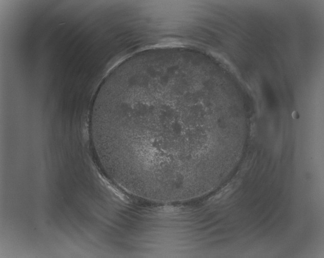 X0000072511409200607211345