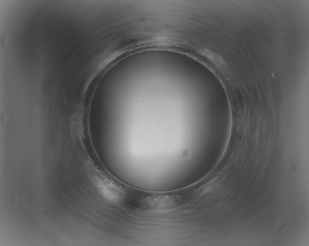 X0000072511410200607211345