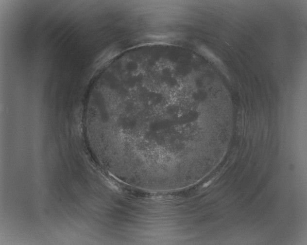 X0000072511411200607211345