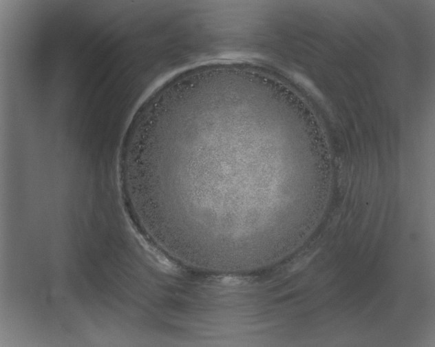 X0000072511412200607211345