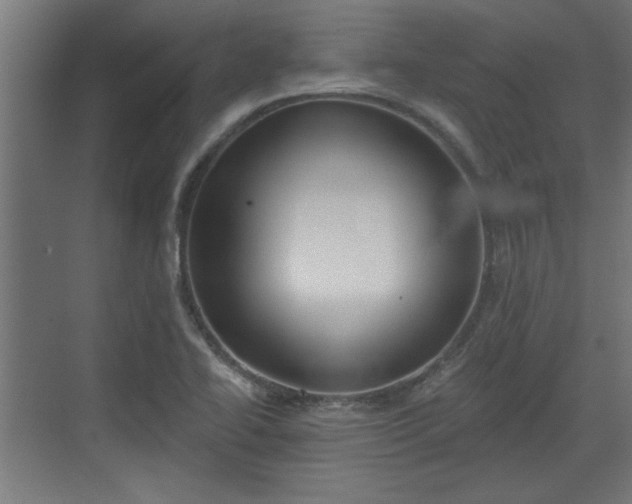 X0000072511414200607211345