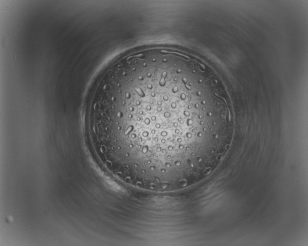 X0000072511416200607211345