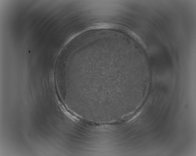 X0000072511417200607211345