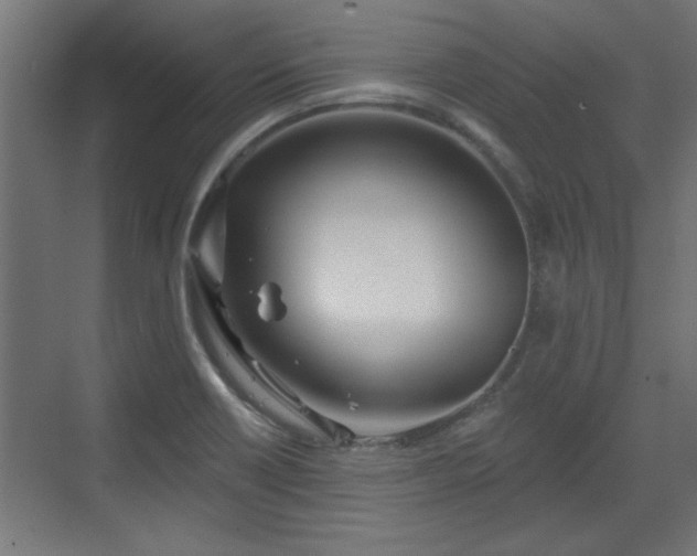 X0000072511418200607211345