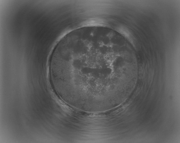 X0000072511419200607211345