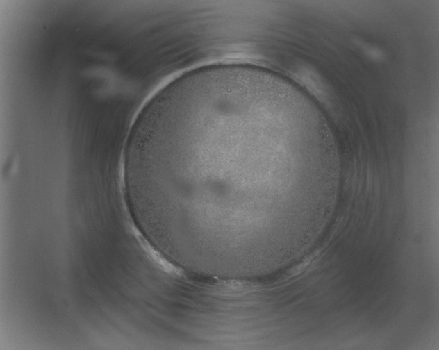 X0000072511420200607211345