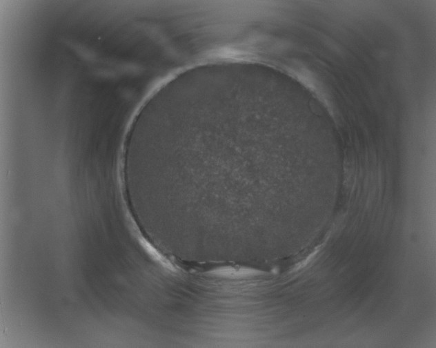 X0000072511421200607211346