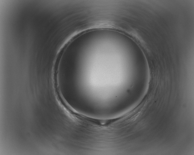 X0000072511422200607211346