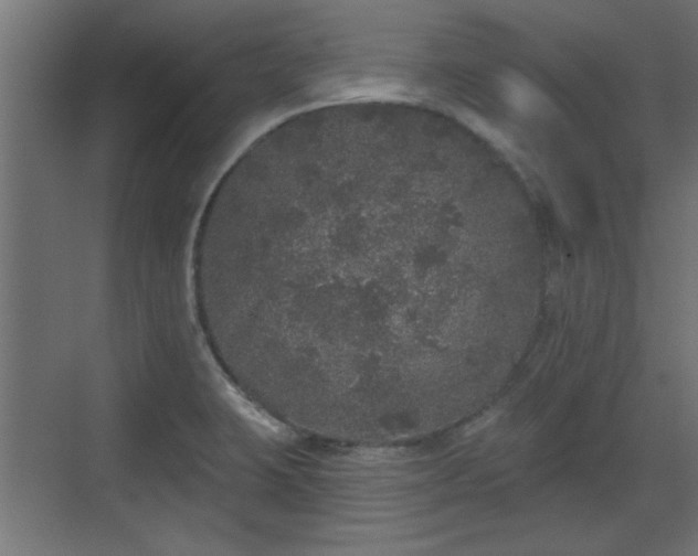 X0000072511423200607211346