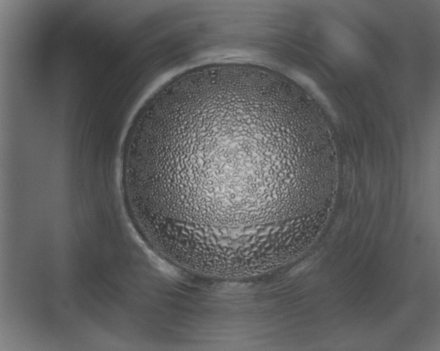 X0000072511424200607211346