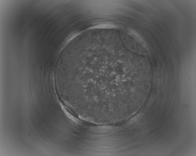 X0000072511425200607211346