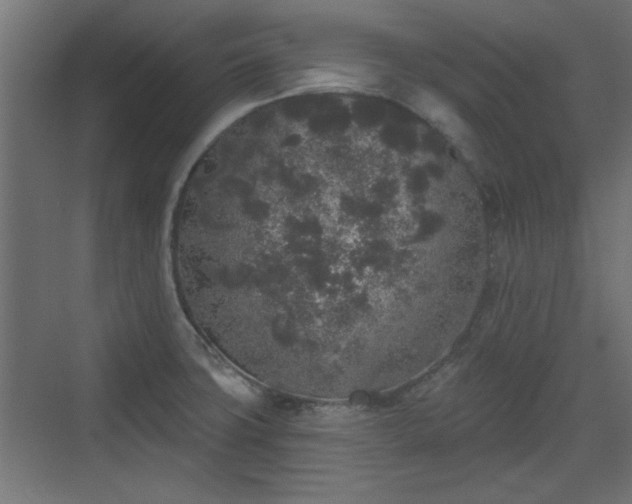 X0000072511427200607211346