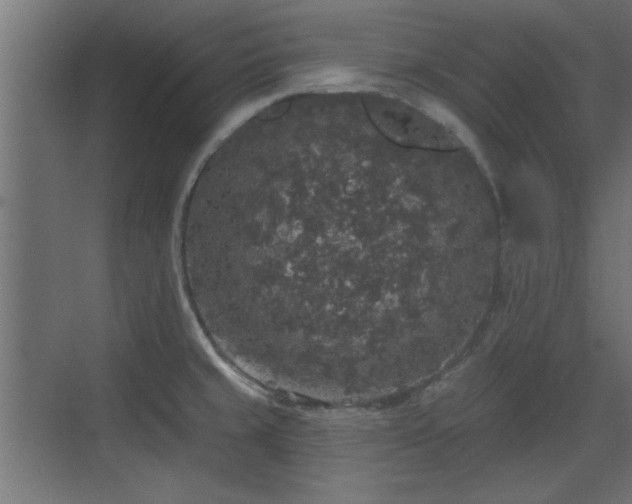 X0000072511429200607211346