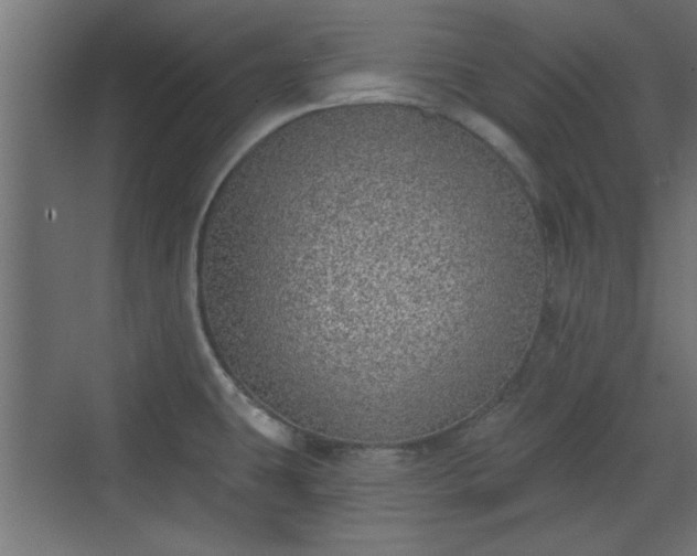 X0000072511431200607211346