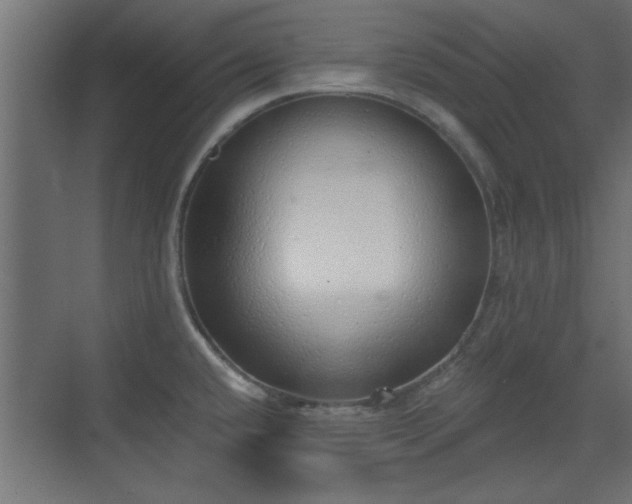 X0000072511432200607211346