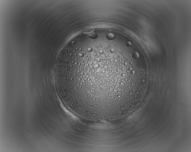 X0000072511433200607211346