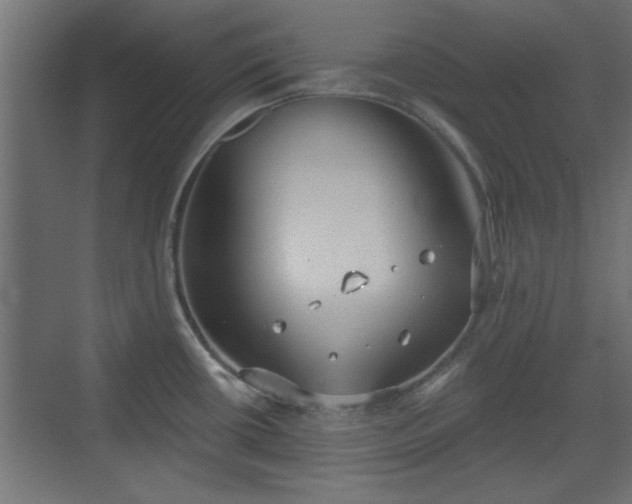 X0000072511434200607211346