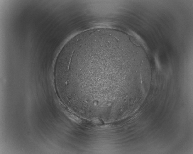 X0000072511435200607211346