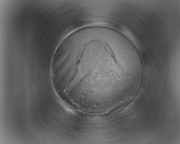 X0000072511436200607211346