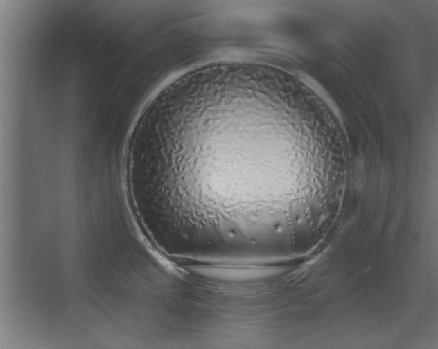 X0000072511437200607211346