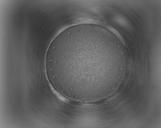 X0000072511439200607211346