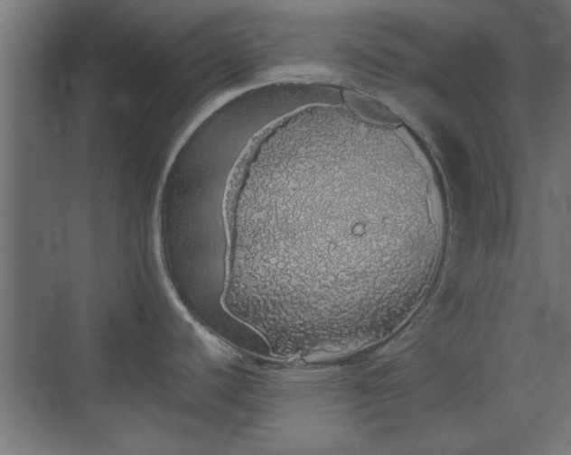 X0000072511440200607211346