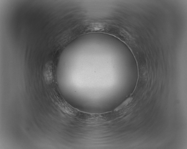 X0000072511442200607211345