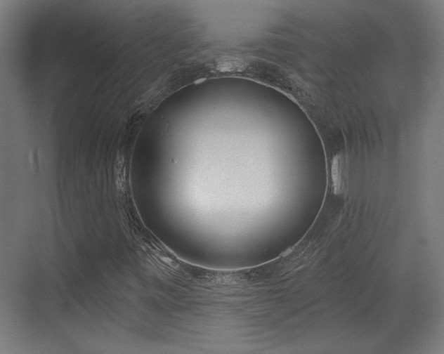 X0000072511443200607211345