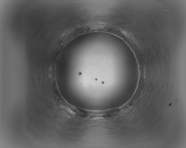 X0000072511445200607211345