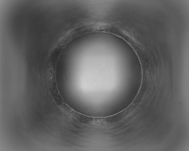 X0000072511447200607211345