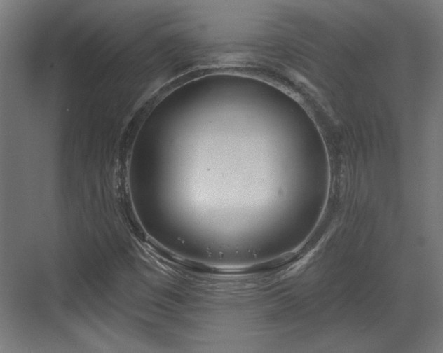 X0000072511449200607211345