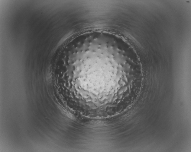 X0000072511450200607211345