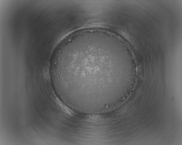 X0000072511452200607211345