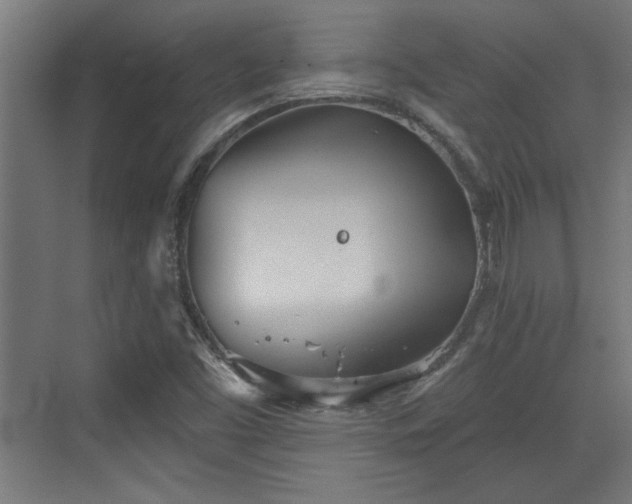 X0000072511453200607211345