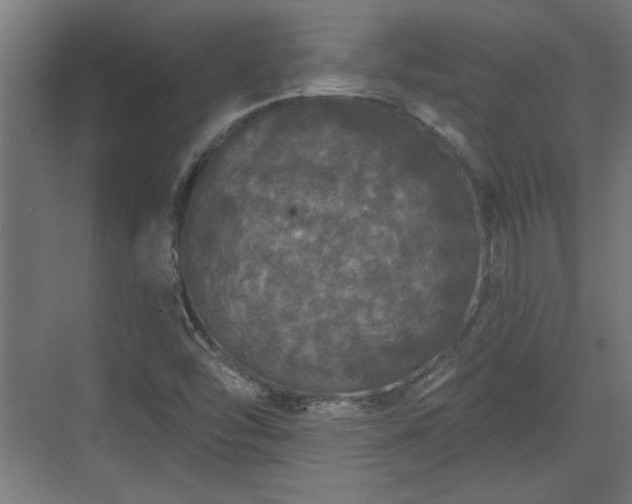 X0000072511454200607211345