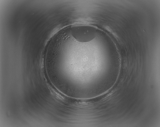 X0000072511459200607211345