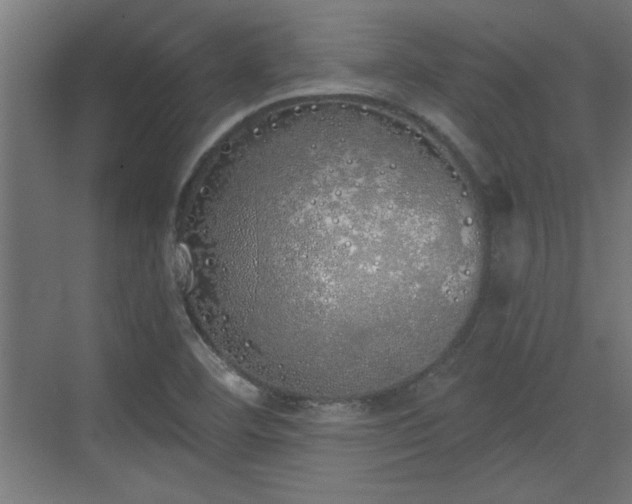 X0000072511460200607211345