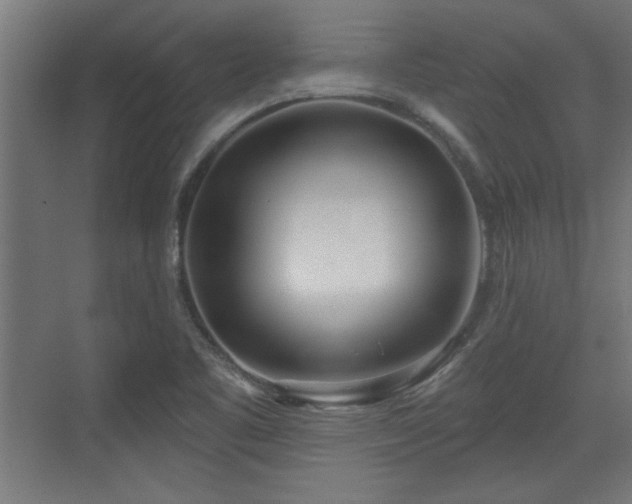 X0000072511461200607211345