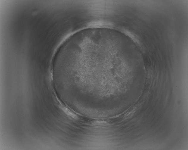 X0000072511462200607211345