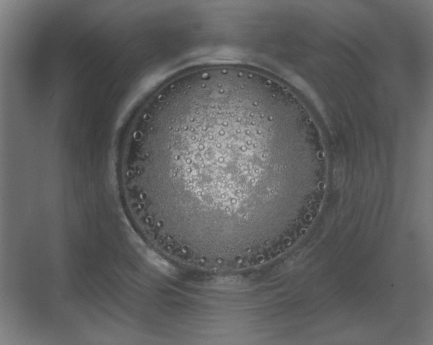 X0000072511464200607211345