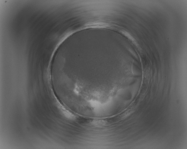 X0000072511466200607211345