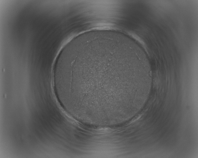 X0000072511467200607211345