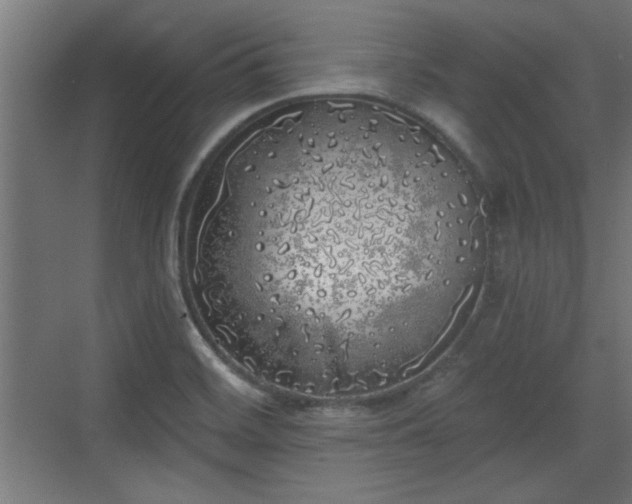 X0000072511468200607211345