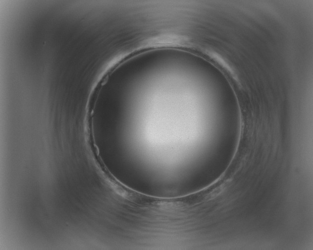 X0000072511469200607211345