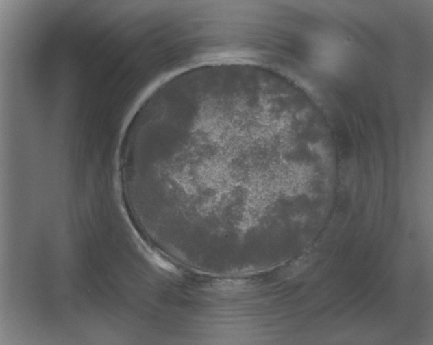 X0000072511470200607211345